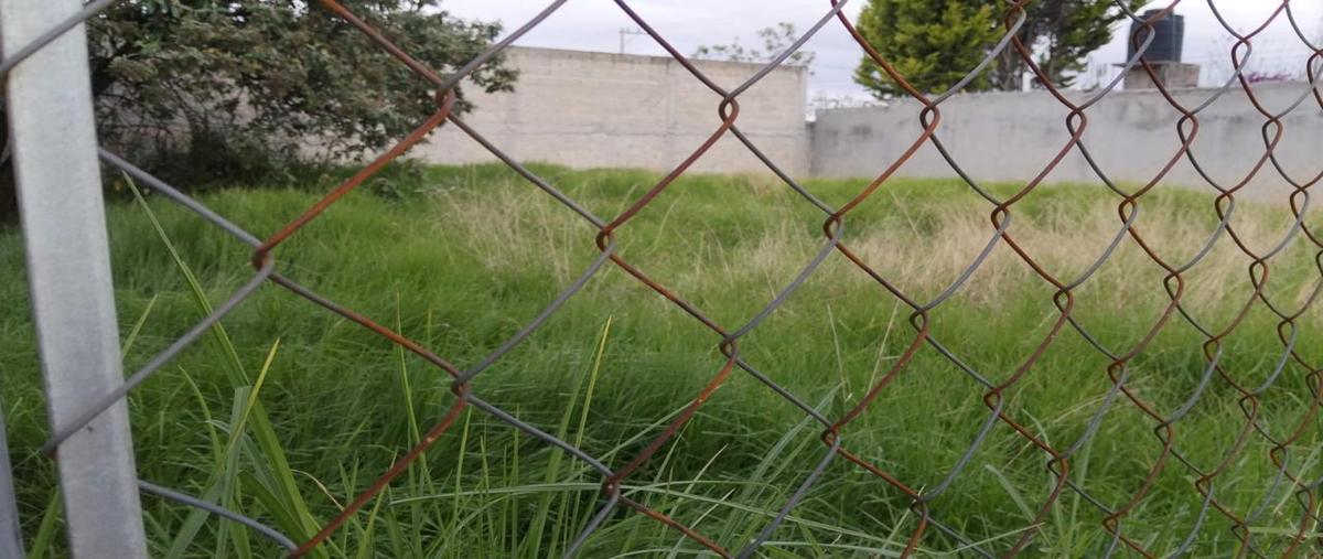 Foto de terreno habitacional en venta en  , san lorenzo tepaltitlán centro, toluca, méxico, 30190044 No. 05