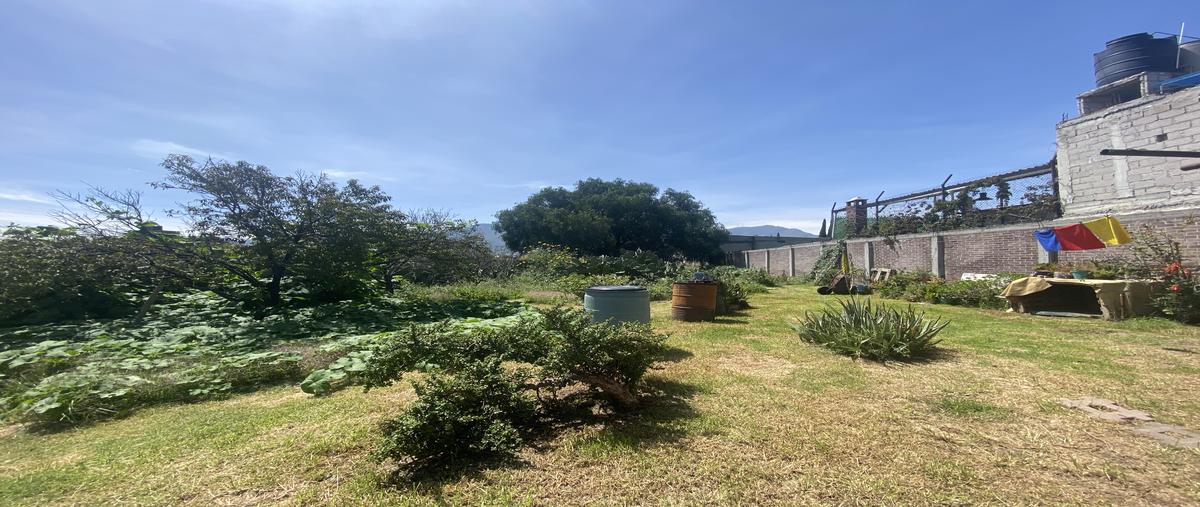 Foto de terreno habitacional en san lorenzo tetlixtac , san lorenzo tetlixtac, coacalco de berriozábal, méxico, 28647968 foto 05 Foto de terreno habitacional en venta en san lorenzo tetlixtac , san lorenzo tetlixtac, coacalco de berriozábal, méxico, 28647968 No. 05
