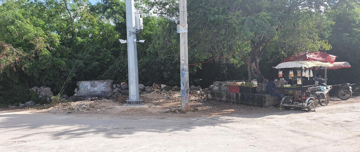 Foto de terreno habitacional en san lorenzo whi271093, san lorenzo, umán, yucatán, 20807119 foto 03 Foto de terreno habitacional en venta en san lorenzo whi271093, san lorenzo, umán, yucatán, 20807119 No. 03