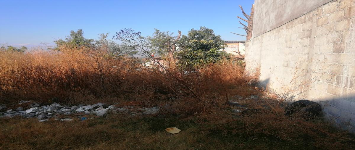 Foto de terreno habitacional en venta en  , san lucas cuauhtelulpan, tlaxcala, tlaxcala, 23658702 No. 03