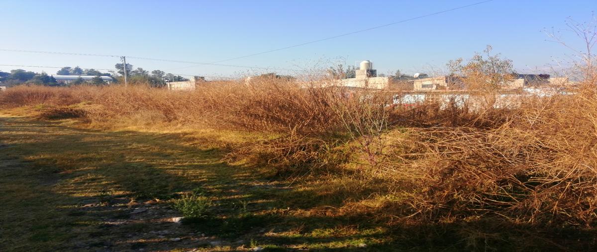 Foto de terreno habitacional en venta en  , san lucas cuauhtelulpan, tlaxcala, tlaxcala, 23658702 No. 04