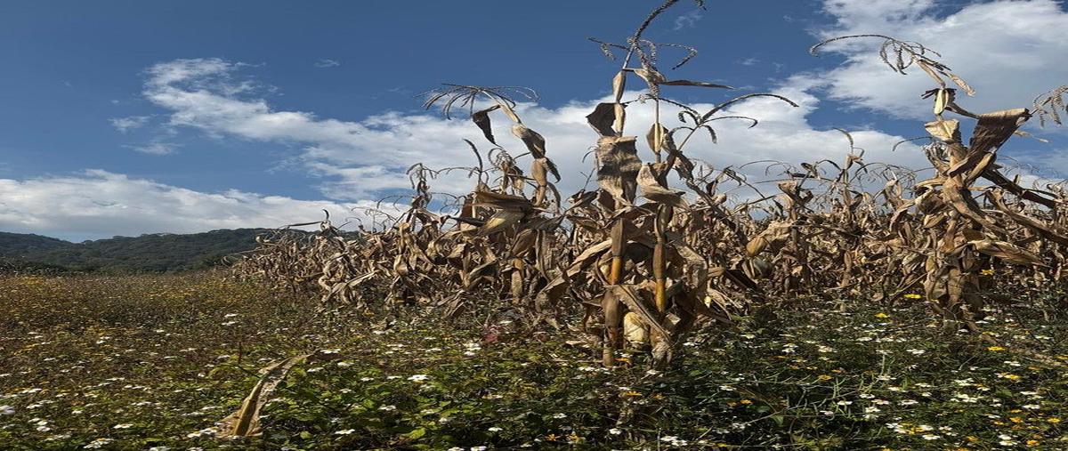 Foto de terreno habitacional en venta en san lucas , san lucas del pulque, temascaltepec, méxico, 0 No. 03