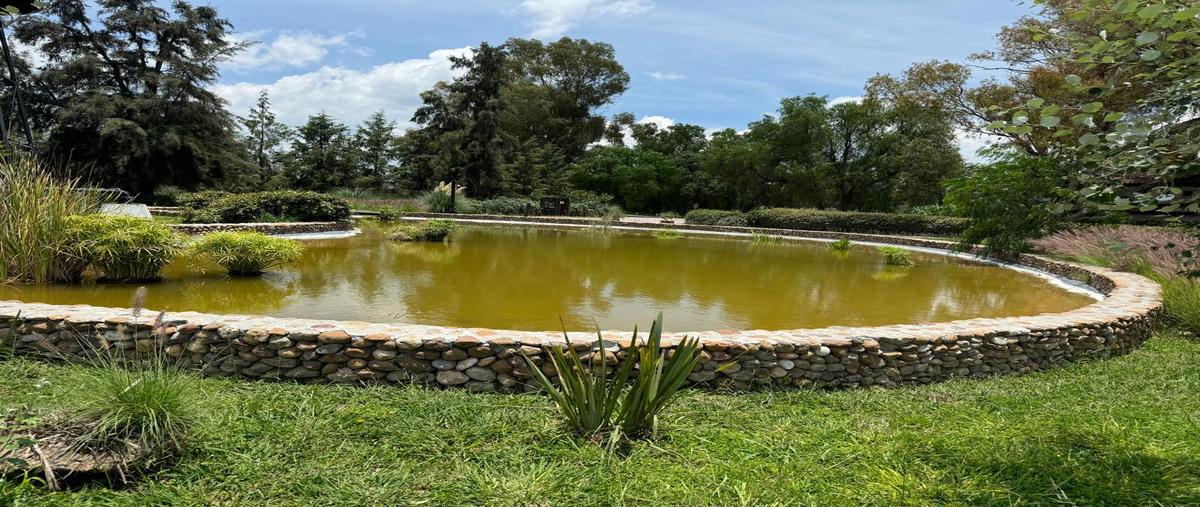 Foto de terreno habitacional en venta en  , san lucas, san miguel de allende, guanajuato, 0 No. 04