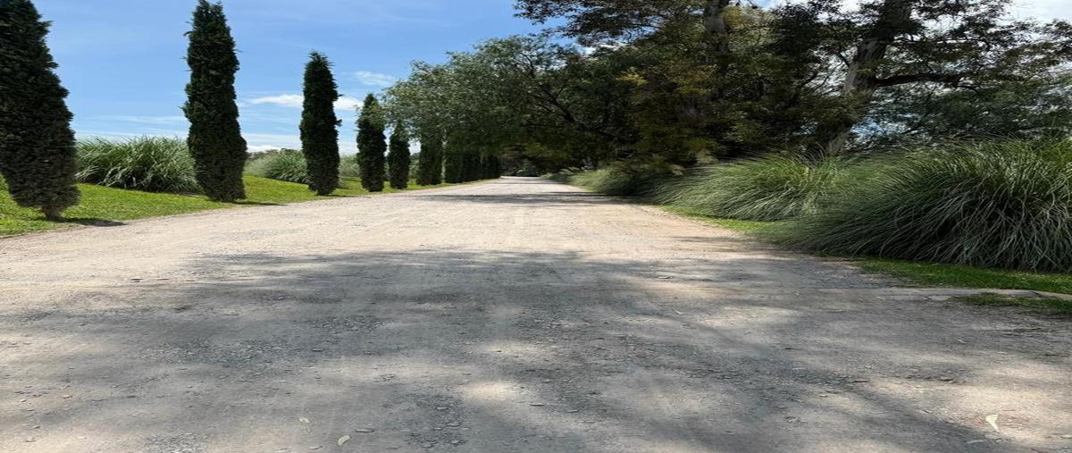 Foto de terreno habitacional en venta en  , san lucas, san miguel de allende, guanajuato, 0 No. 05