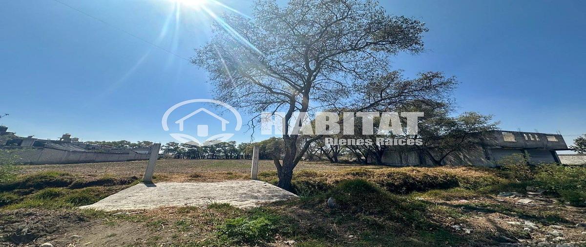 Foto de terreno habitacional en venta en  , san lucas tunco, metepec, méxico, 0 No. 05