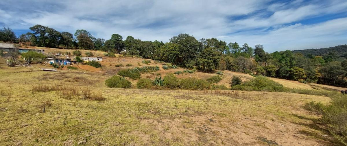 Foto de terreno habitacional en venta en  , san lucas, villa del carbón, méxico, 27500321 No. 03