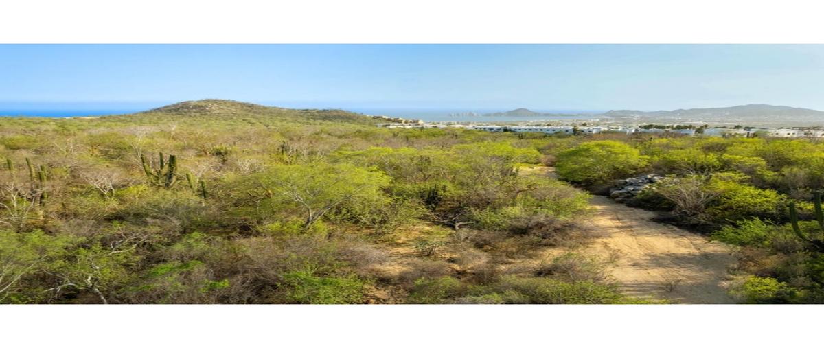 Foto de terreno habitacional en venta en  , san luciano, los cabos, baja california sur, 0 No. 03