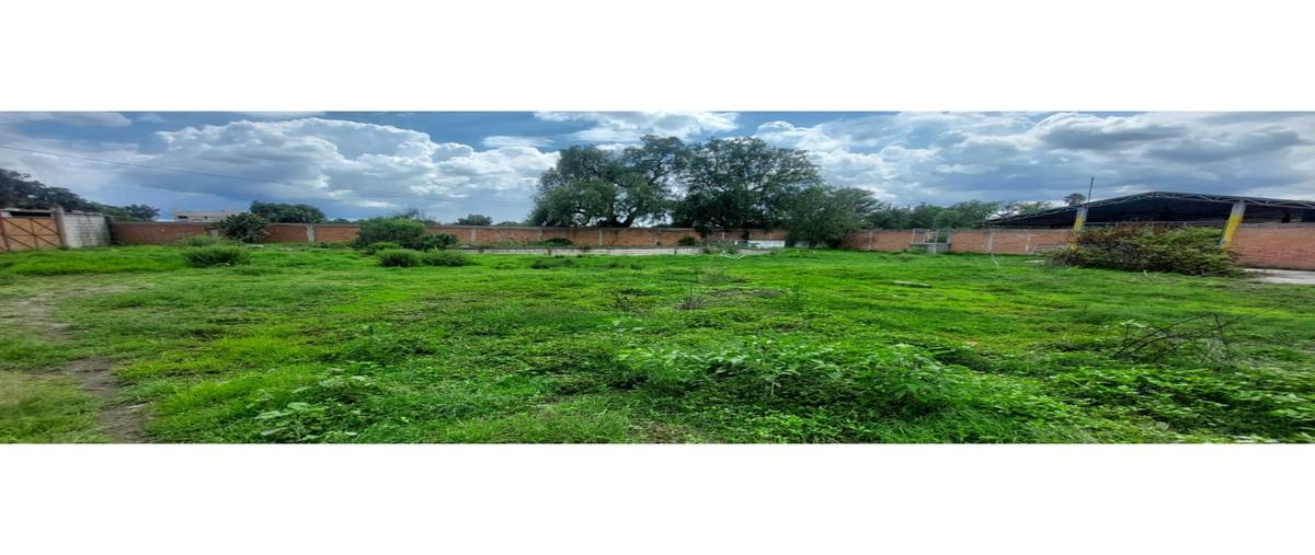 Foto de rancho en venta en  , san luis ajajalpan, tecali de herrera, puebla, 28463476 No. 05