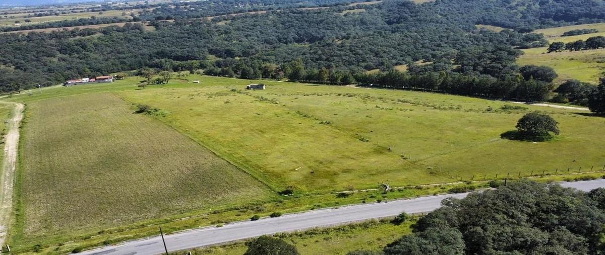 Foto de terreno habitacional en venta en  , san luis anáhuac (toriles), villa del carbón, méxico, 0 No. 04