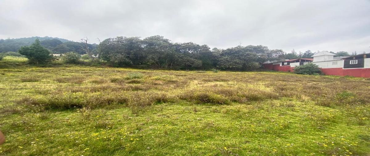 Foto de terreno habitacional en venta en  , san luis ayucan, jilotzingo, méxico, 27431610 No. 03