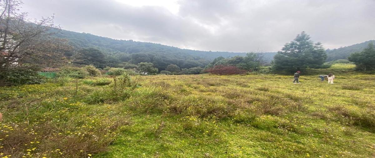 Foto de terreno habitacional en venta en  , san luis ayucan, jilotzingo, méxico, 27431610 No. 05