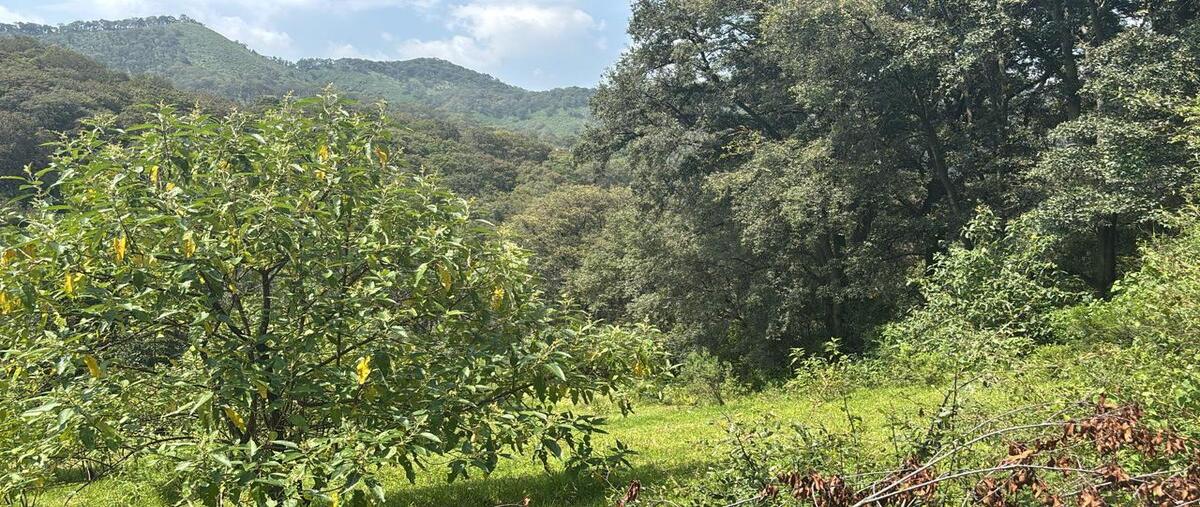 Foto de terreno habitacional en venta en  , san luis ayucan, jilotzingo, méxico, 0 No. 03