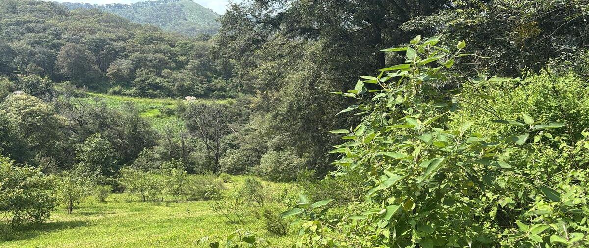 Foto de terreno habitacional en venta en  , san luis ayucan, jilotzingo, méxico, 0 No. 05