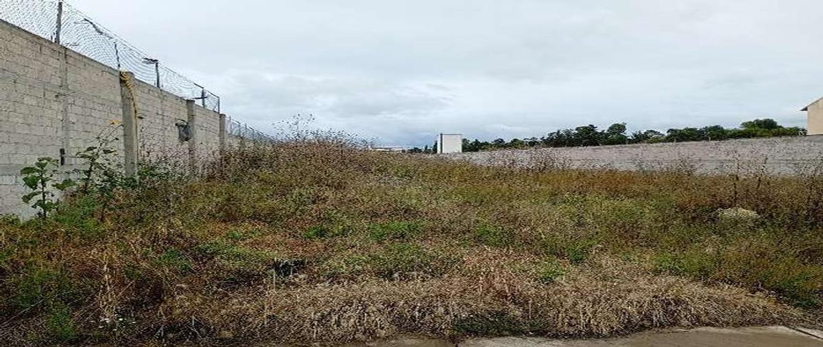 Foto de terreno habitacional en venta en  , san luis huexotla, texcoco, méxico, 0 No. 03
