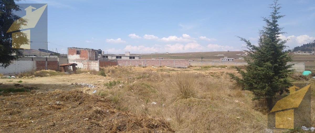 Foto de terreno habitacional en venta en  , san luis mextepec, zinacantepec, méxico, 13034171 No. 05