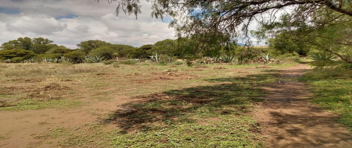 Foto de terreno habitacional en , san luis potosí centro, san luis potosí, san luis potosí, 24260866 foto 02 Foto de terreno habitacional en venta en , san luis potosí centro, san luis potosí, san luis potosí, 24260866 No. 02