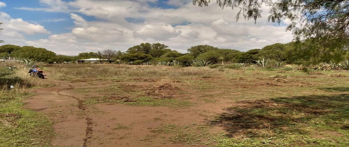 Foto de terreno habitacional en venta en  , san luis potosí centro, san luis potosí, san luis potosí, 24260866 No. 03