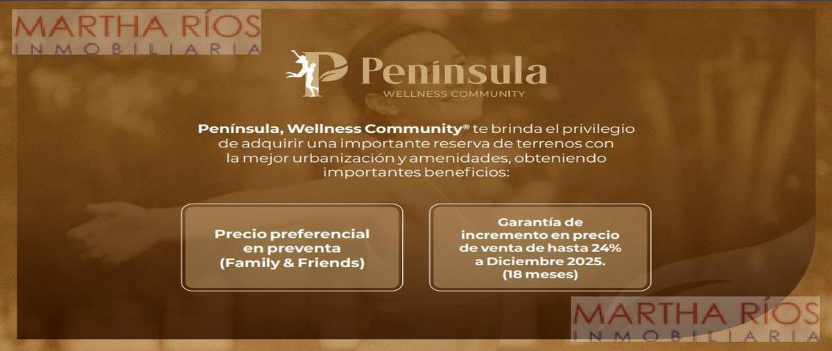 Foto de terreno habitacional en venta en  , san luis potosí centro, san luis potosí, san luis potosí, 28435770 No. 04