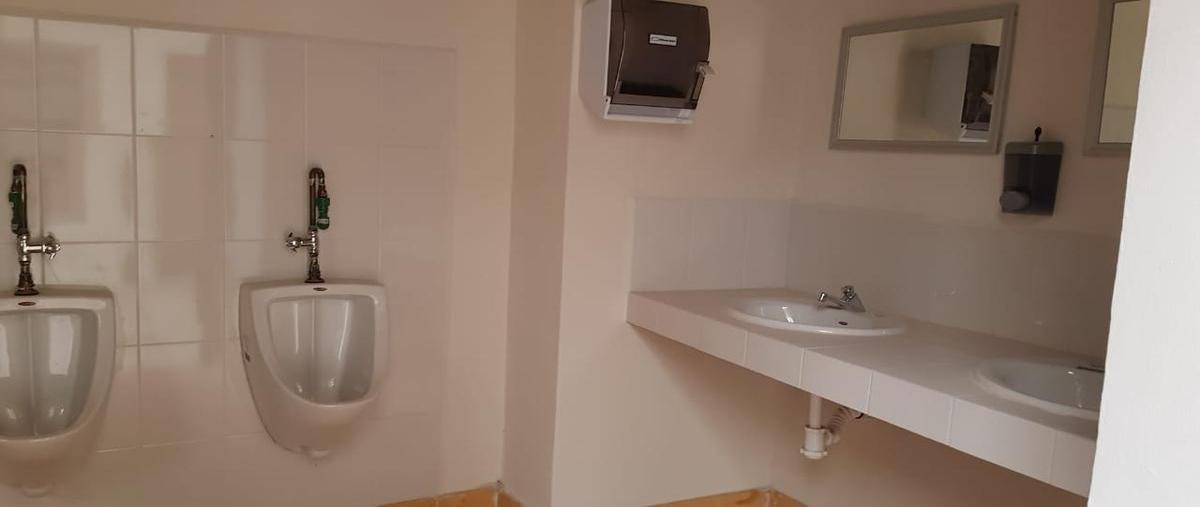 Foto de casa en renta en  , san luis potosí centro, san luis potosí, san luis potosí, 30274003 No. 04