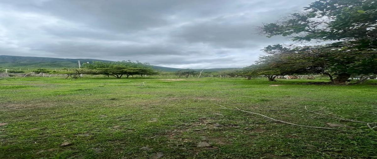 Foto de terreno habitacional en , san luis soyatlan, tuxcueca, jalisco, 27460895 foto 02 Foto de terreno habitacional en venta en , san luis soyatlan, tuxcueca, jalisco, 27460895 No. 02