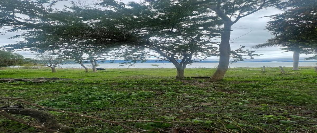 Foto de terreno habitacional en , san luis soyatlan, tuxcueca, jalisco, 27460895 foto 03 Foto de terreno habitacional en venta en , san luis soyatlan, tuxcueca, jalisco, 27460895 No. 03