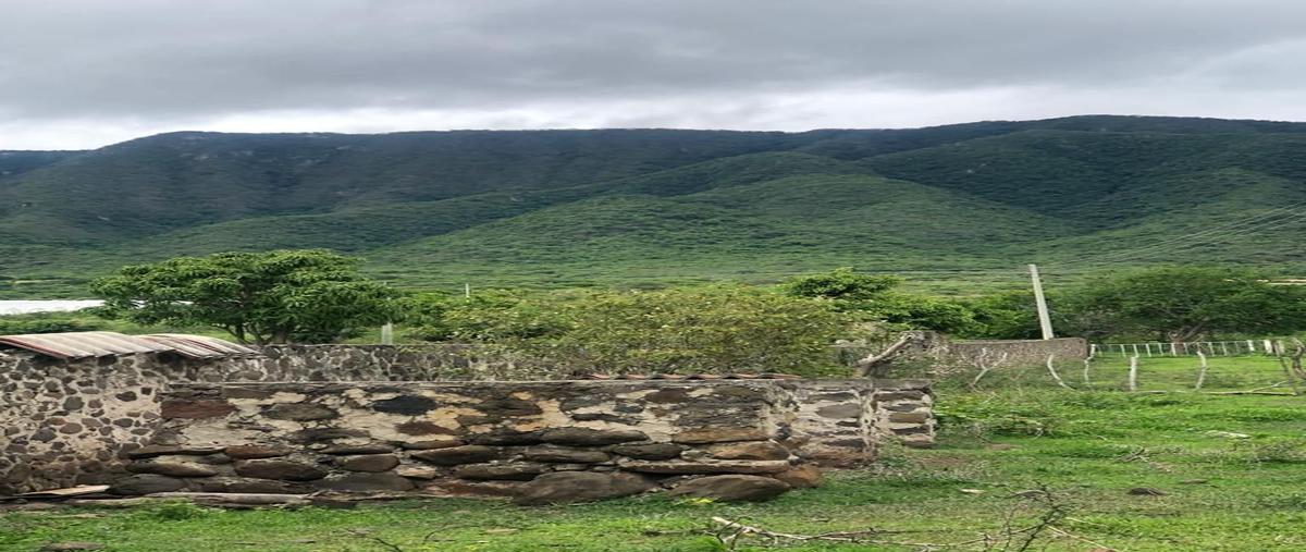 Foto de terreno habitacional en , san luis soyatlan, tuxcueca, jalisco, 27460895 foto 04 Foto de terreno habitacional en venta en , san luis soyatlan, tuxcueca, jalisco, 27460895 No. 04
