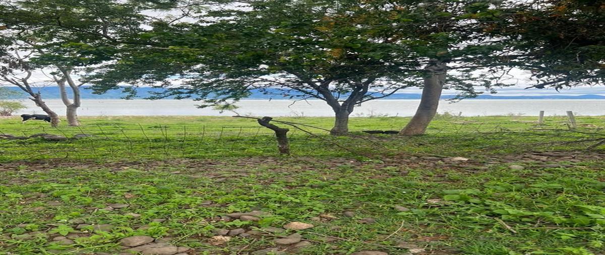 Foto de terreno habitacional en , san luis soyatlan, tuxcueca, jalisco, 27460895 foto 05 Foto de terreno habitacional en venta en , san luis soyatlan, tuxcueca, jalisco, 27460895 No. 05