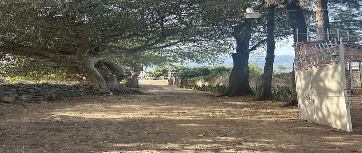 Foto de casa en , san luis soyatlan, tuxcueca, jalisco, 29831778 foto 03 Foto de casa en renta en , san luis soyatlan, tuxcueca, jalisco, 29831778 No. 03