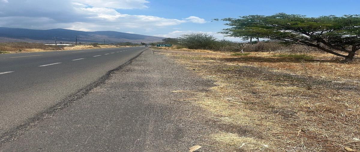Foto de terreno habitacional en venta en  , san luis soyatlan, tuxcueca, jalisco, 0 No. 08