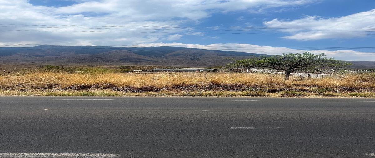 Foto de terreno habitacional en venta en  , san luis soyatlan, tuxcueca, jalisco, 0 No. 10