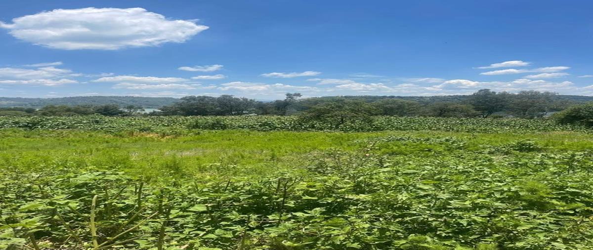 Foto de terreno habitacional en san luis taxhimay , san luis taxhimay, villa del carbón, méxico, 0 foto 05 Foto de terreno habitacional en venta en san luis taxhimay , san luis taxhimay, villa del carbón, méxico, 0 No. 05