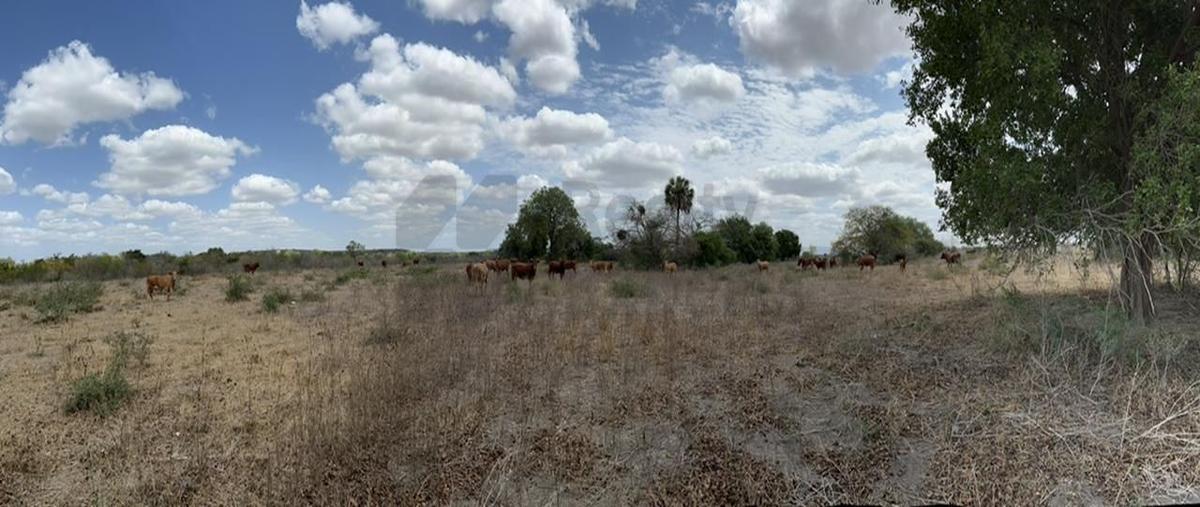 Foto de rancho en venta en  , san manuel, xicoténcatl, tamaulipas, 0 No. 05
