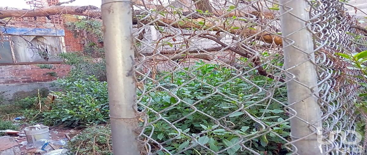 Foto de terreno habitacional en venta en san marcos 271, tlalpan, tlalpan, df / cdmx, 29302367 No. 03