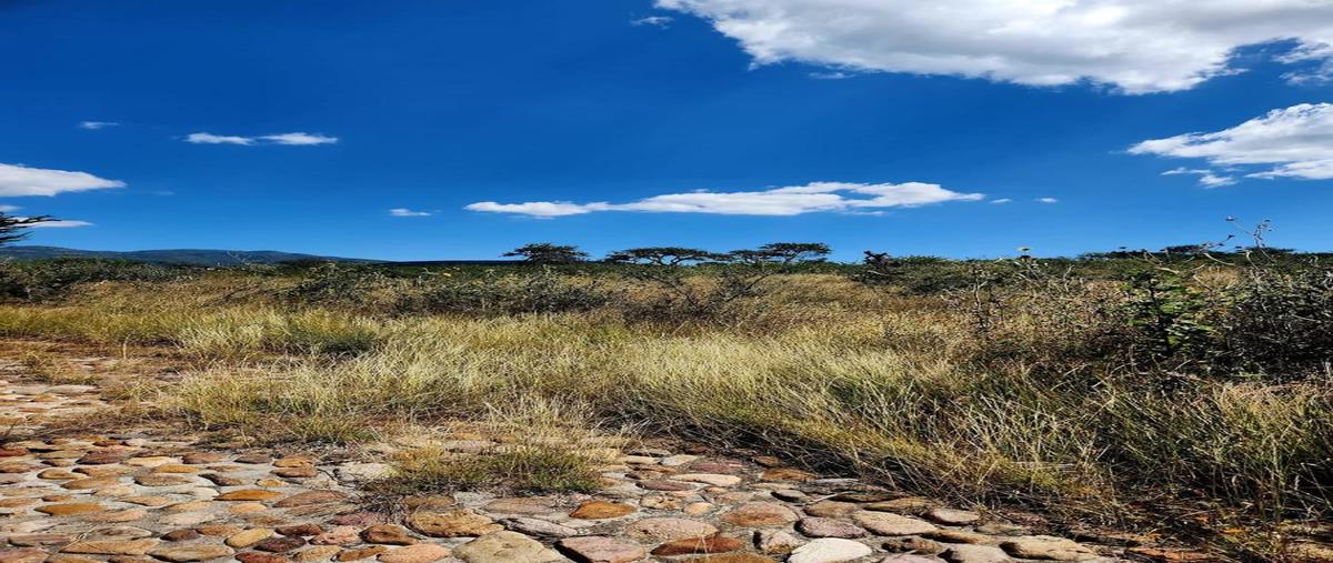 Foto de terreno habitacional en venta en  , san marcos de begoña, san miguel de allende, guanajuato, 0 No. 03