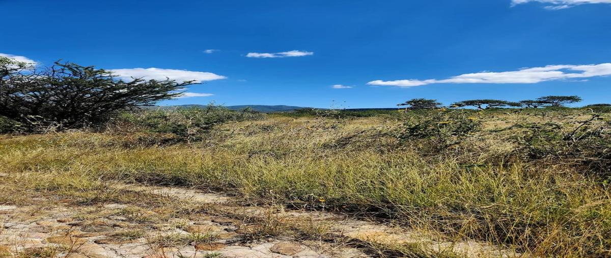 Foto de terreno habitacional en venta en  , san marcos de begoña, san miguel de allende, guanajuato, 0 No. 04
