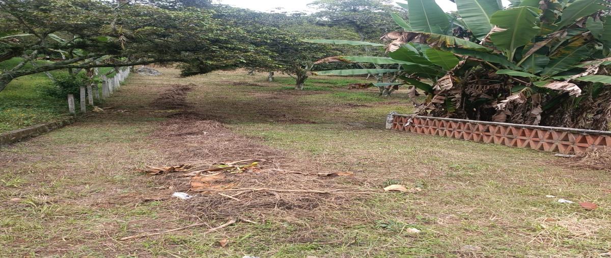 Foto de terreno habitacional en venta en  , san marcos de leon, coatepec, veracruz de ignacio de la llave, 0 No. 05