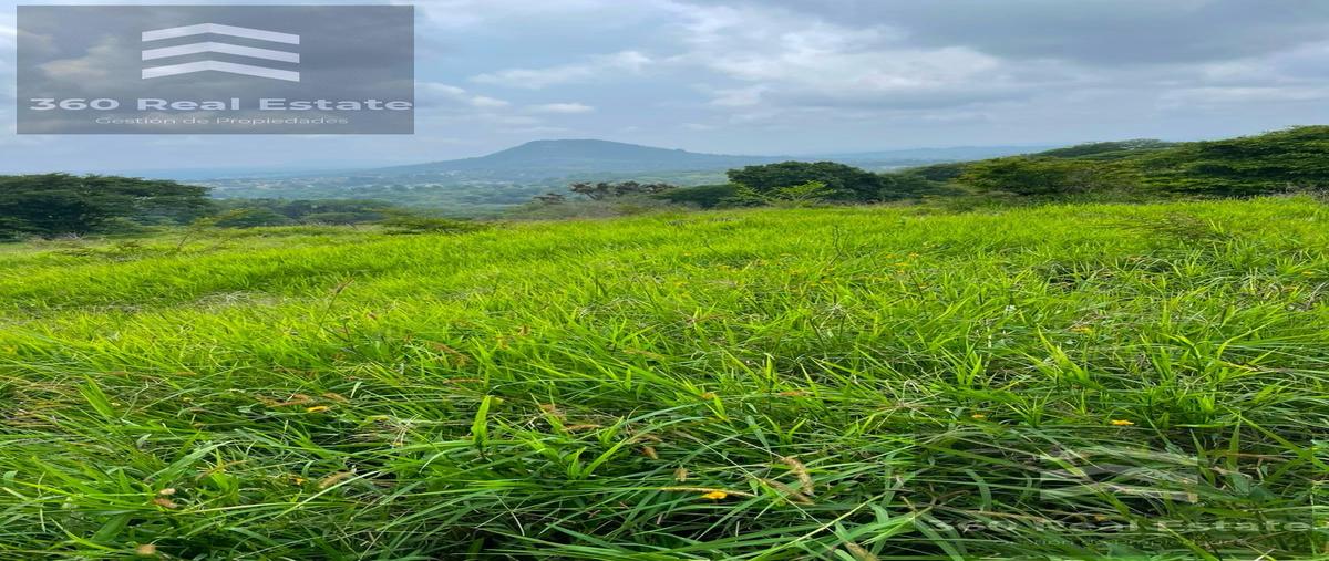 Foto de terreno habitacional en venta en  , san marcos de leon, coatepec, veracruz de ignacio de la llave, 0 No. 04