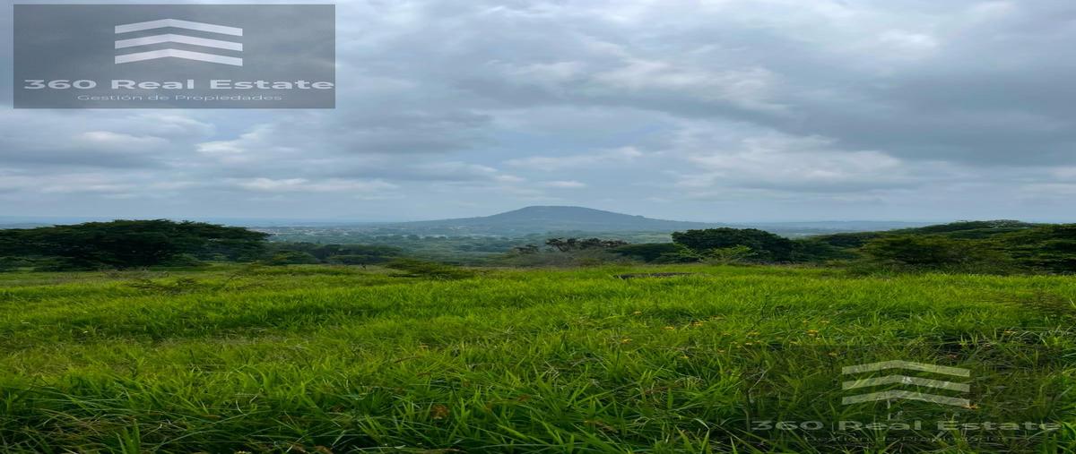 Foto de terreno habitacional en venta en  , san marcos de leon, coatepec, veracruz de ignacio de la llave, 0 No. 05