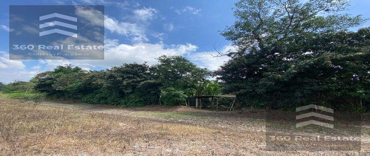 Foto de terreno habitacional en venta en  , san marcos de león (san marcos), xico, veracruz de ignacio de la llave, 28680786 No. 03