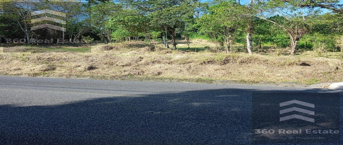 Foto de terreno habitacional en venta en  , san marcos de león (san marcos), xico, veracruz de ignacio de la llave, 28758494 No. 04