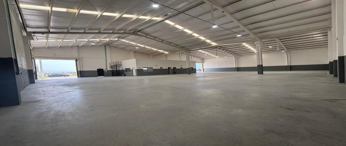 Foto de bodega en renta en  , san marcos, general escobedo, nuevo león, 0 No. 03