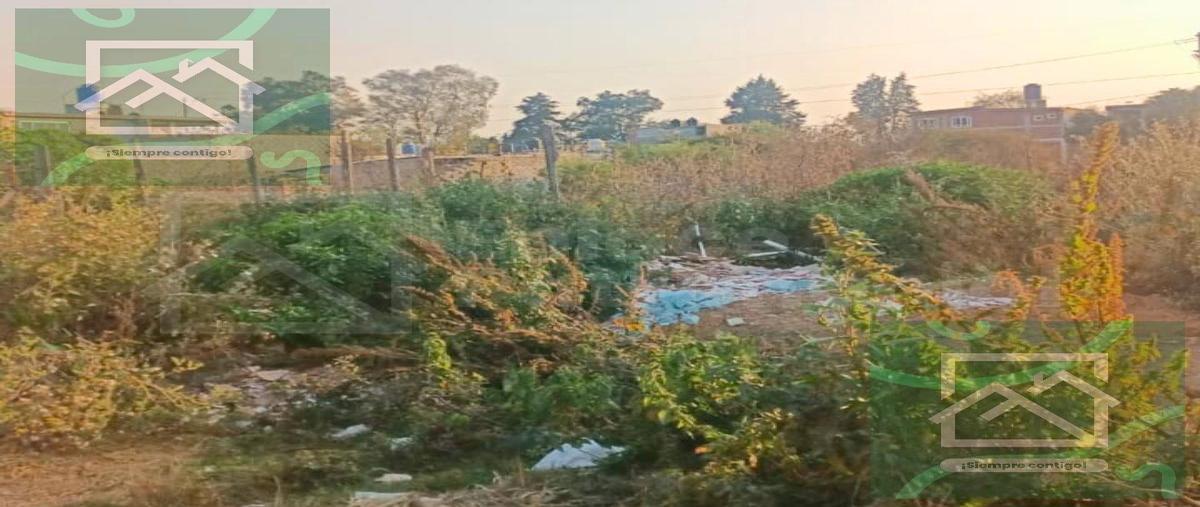 Foto de terreno habitacional en venta en  , san marcos huixtoco, chalco, méxico, 30848500 No. 05