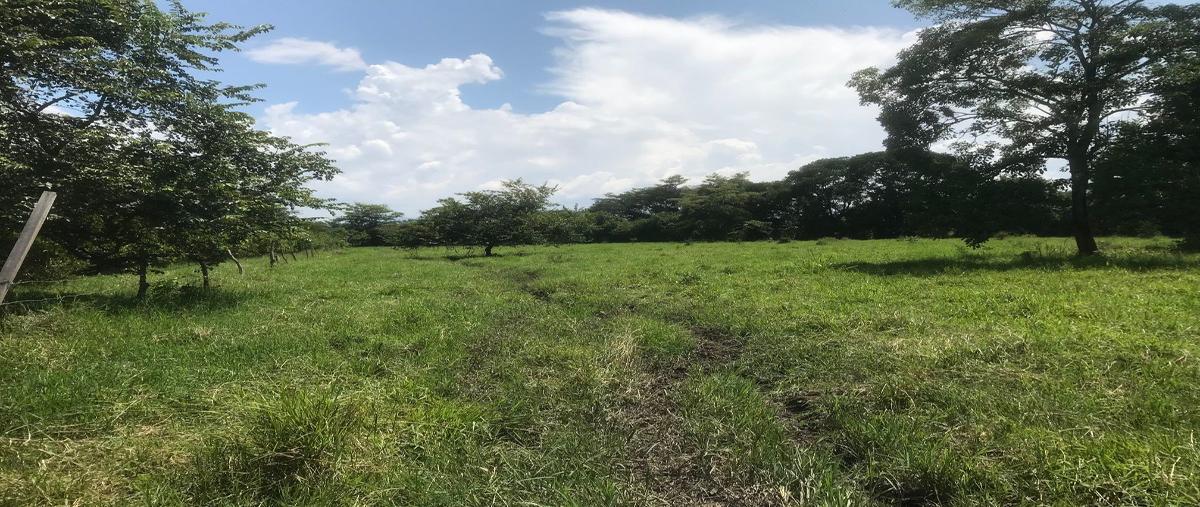 Foto de rancho en venta en  , san marcos, la concordia, chiapas, 25938177 No. 05