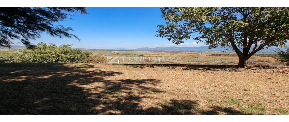 Foto de rancho en venta en  , san marcos, san marcos, jalisco, 0 No. 04