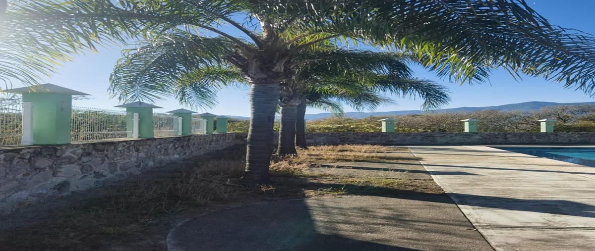 Foto de terreno habitacional en venta en  , san marcos, san marcos, jalisco, 0 No. 05