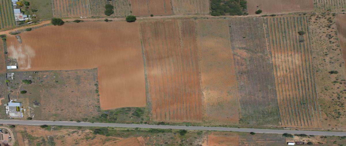 Foto de terreno habitacional en venta en  , san marcos tlapazola, tlacolula de matamoros, oaxaca, 30137018 No. 05