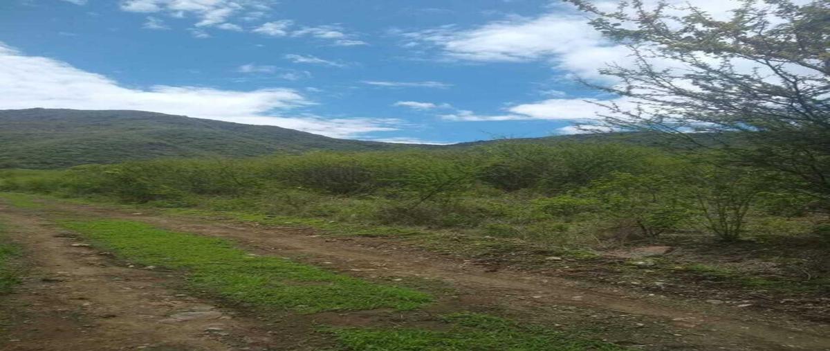 Foto de terreno habitacional en venta en  , san marcos, zacoalco de torres, jalisco, 0 No. 03