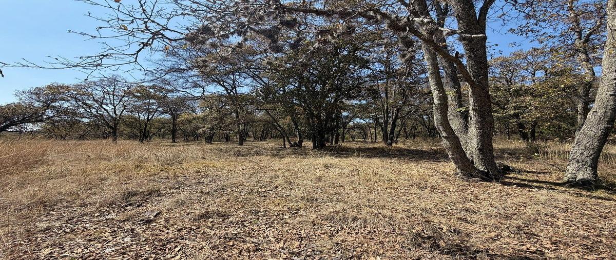 Foto de terreno habitacional en san marqueña , villa del carbón, villa del carbón, méxico, 30828017 foto 03 Foto de terreno habitacional en venta en san marqueña , villa del carbón, villa del carbón, méxico, 30828017 No. 03