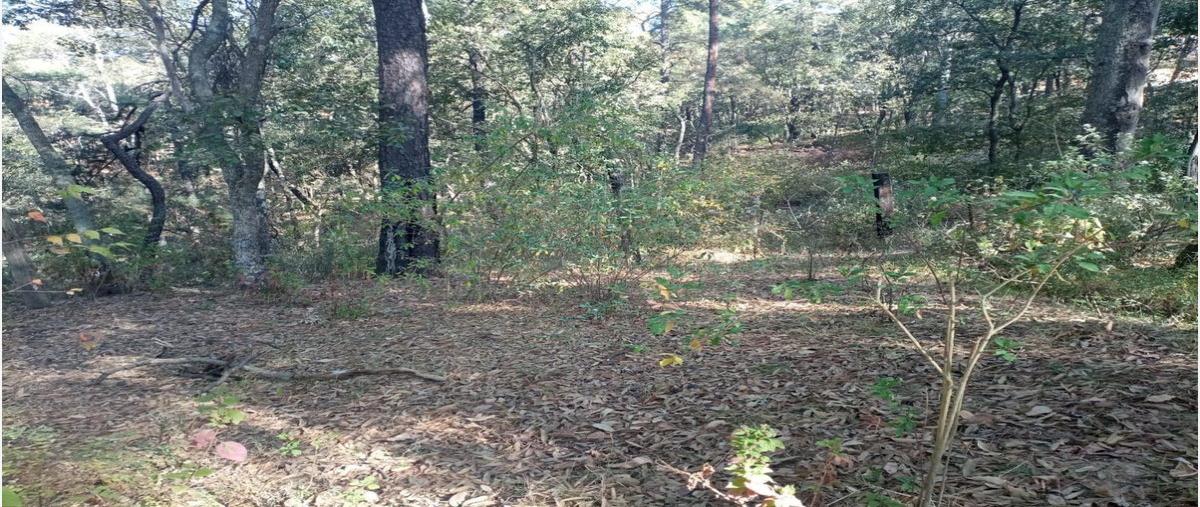 Foto de terreno habitacional en venta en san martin cachihuapan , san martín cachihuapan, villa del carbón, méxico, 27768495 No. 03