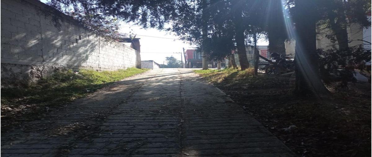 Foto de terreno habitacional en venta en san martin cachihuapan , san martín cachihuapan, villa del carbón, méxico, 27768495 No. 04